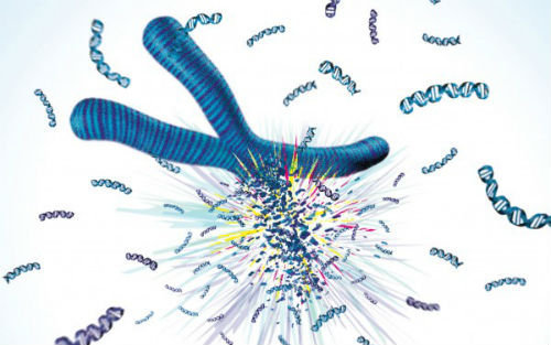 Nature 封面故事:“染色体破碎”事件